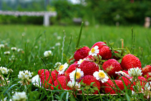 808658 (a): :2700x1800